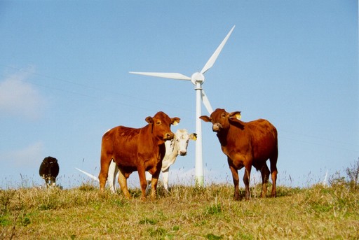 E44/600 - Enercon - 600 kW