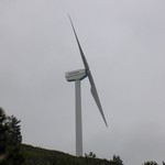 Turbine 559