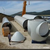 Haga clic para aumentar la imagen Turbina eólica 5835