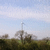 Click to increase the image size Aérogénérateur 585