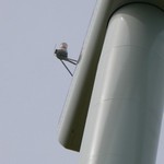 Click to increase the image size Turbine 6005