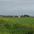 Click to increase the image size Aérogénérateur 6169