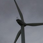 Cliquez pour agrandir Turbine 6226