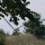 Click to increase the image size Aérogénérateur 6588