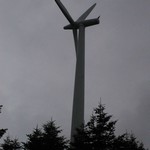 Turbine 7355