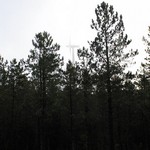 Click to increase the image size Turbine 7407