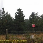 Click to increase the image size Turbine 7422