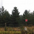 Click to increase the image size Turbine 7422