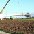Click to increase the image size Turbine 7652