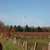 Click to increase the image size Turbine 7773