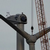 Click to increase the image size Turbine 8063