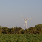 Turbine 8115