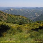 Cliquez pour agrandir Turbine 8569