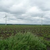 Zur Bildvergrößerung anklicken Windkraftanlage 8660