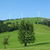 Click to increase the image size Turbine 8664