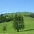 Click to increase the image size Turbine 8665