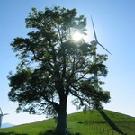Click to increase the image size Turbine 8666