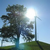 Click to increase the image size Turbine 8667