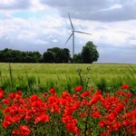 Cliquez pour agrandir Turbine 8709