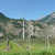 Zur Bildvergrößerung anklicken Windkraftanlage 8819