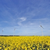Zur Bildvergrößerung anklicken Windkraftanlage 9303