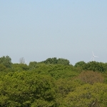 Click to increase the image size Turbine 9358