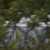 Click to increase the image size Aérogénérateur 9504