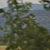 Click to increase the image size Aérogénérateur 9509