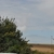Click to increase the image size Aérogénérateur 9647