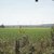 Click to increase the image size Turbine 9900