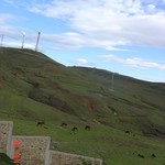 Windkraftanlage 5486